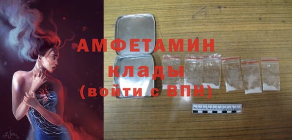 шишки Белокуриха