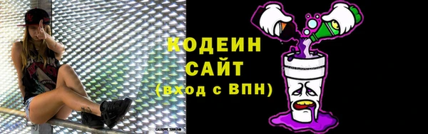 шишки Белокуриха