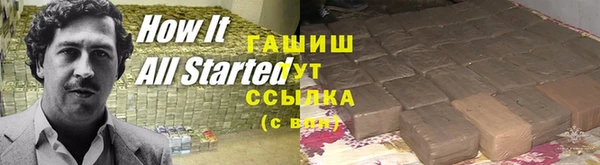 шишки Белокуриха
