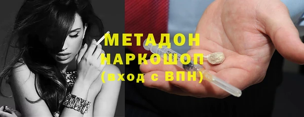 шишки Белокуриха