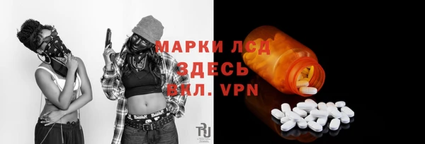 шишки Белокуриха