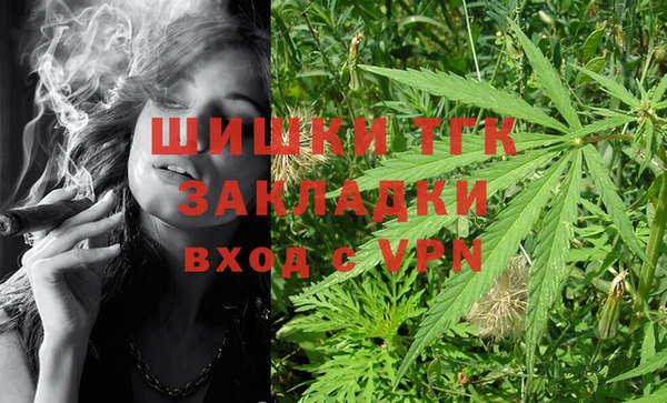 шишки Белокуриха
