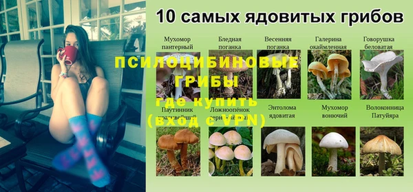 шишки Белокуриха