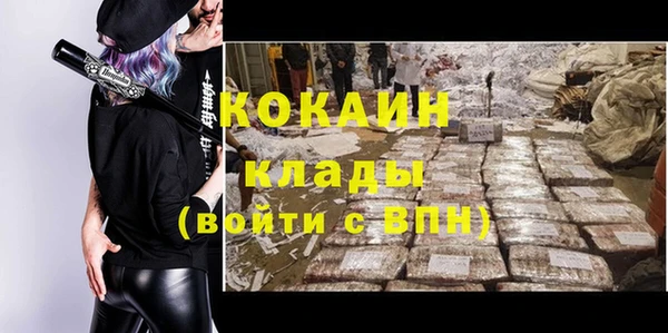 шишки Белокуриха