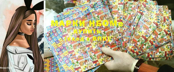 шишки Белокуриха